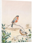 Winter scene with Chaffinch and Holly by Henry Bright