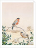 Winter scene with Chaffinch and Holly by Henry Bright