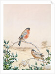 Winter scene with Chaffinch and Holly by Henry Bright