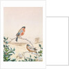 Winter scene with Chaffinch and Holly by Henry Bright