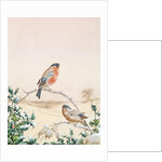 Winter scene with Chaffinch and Holly by Henry Bright