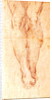 Study for a Crucifixion by Michelangelo Buonarroti