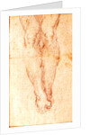 Study for a Crucifixion by Michelangelo Buonarroti