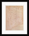 Study of a Female Nude by Michelangelo Buonarroti