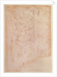 Study of a Female Nude by Michelangelo Buonarroti
