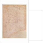 Study of a Female Nude by Michelangelo Buonarroti