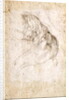 Study for The Creation of Adam by Michelangelo Buonarroti