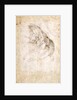 Study for The Creation of Adam by Michelangelo Buonarroti