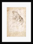 Study for The Creation of Adam by Michelangelo Buonarroti