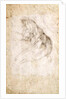 Study for The Creation of Adam by Michelangelo Buonarroti