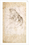 Study for The Creation of Adam by Michelangelo Buonarroti