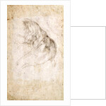 Study for The Creation of Adam by Michelangelo Buonarroti