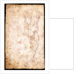 Study of a Male Nude by Michelangelo Buonarroti