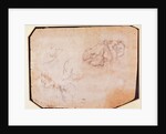 Study of Muscles by Michelangelo Buonarroti
