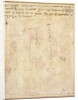 Architectural Study with Notes by Michelangelo Buonarroti