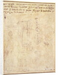 Architectural Study with Notes by Michelangelo Buonarroti