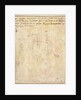Architectural Study with Notes by Michelangelo Buonarroti