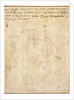 Architectural Study with Notes by Michelangelo Buonarroti