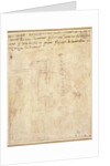 Architectural Study with Notes by Michelangelo Buonarroti