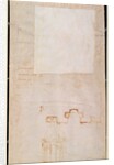 Architectural Study with Notes by Michelangelo Buonarroti