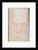 Architectural Study with Notes by Michelangelo Buonarroti