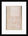 Architectural Study with Notes by Michelangelo Buonarroti