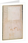 Architectural Study with Notes by Michelangelo Buonarroti