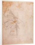 Study of Drapery c.1516 by Michelangelo Buonarroti
