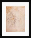 Study of Drapery c.1516 by Michelangelo Buonarroti