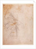 Study of Drapery c.1516 by Michelangelo Buonarroti