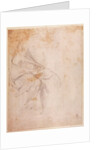 Study of Drapery c.1516 by Michelangelo Buonarroti