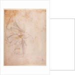 Study of Drapery c.1516 by Michelangelo Buonarroti