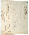 Study of the Christ Child and an Anatomical Drawing with Notes by Michelangelo Buonarroti