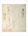 Study of the Christ Child and an Anatomical Drawing with Notes by Michelangelo Buonarroti