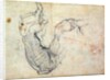 Preparatory Study for the Arm of Christ in the Last Judgement, 1535-41 by Michelangelo Buonarroti