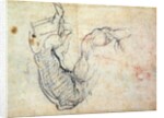 Preparatory Study for the Arm of Christ in the Last Judgement, 1535-41 by Michelangelo Buonarroti