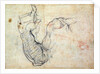 Preparatory Study for the Arm of Christ in the Last Judgement, 1535-41 by Michelangelo Buonarroti