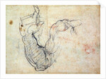 Preparatory Study for the Arm of Christ in the Last Judgement, 1535-41 by Michelangelo Buonarroti