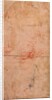 Preparatory Study for the Punishment of Haman by Michelangelo Buonarroti