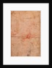 Preparatory Study for the Punishment of Haman by Michelangelo Buonarroti