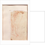 Study of Christ's feet nailed to the Cross by Michelangelo Buonarroti