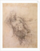 Study for Noah in 'The Drunkenness of Noah', 1508-12 by Michelangelo Buonarroti