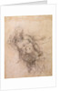 Study for Noah in 'The Drunkenness of Noah', 1508-12 by Michelangelo Buonarroti