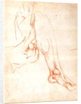 Study of a lower leg and foot by Michelangelo Buonarroti