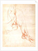 Study of a lower leg and foot by Michelangelo Buonarroti