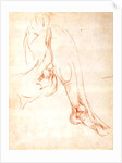 Study of a lower leg and foot by Michelangelo Buonarroti