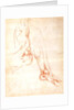 Study of a lower leg and foot by Michelangelo Buonarroti