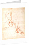 Study of a lower leg and foot by Michelangelo Buonarroti