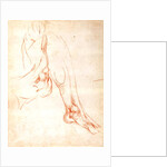 Study of a lower leg and foot by Michelangelo Buonarroti