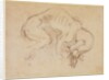 Study of a dog by Michelangelo Buonarroti